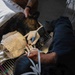 Early dental care keeps Spangdahlem Air Base military working dogs’ bite in the fight