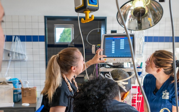 Early dental care keeps Spangdahlem Air Base military working dogs’ bite in the fight
