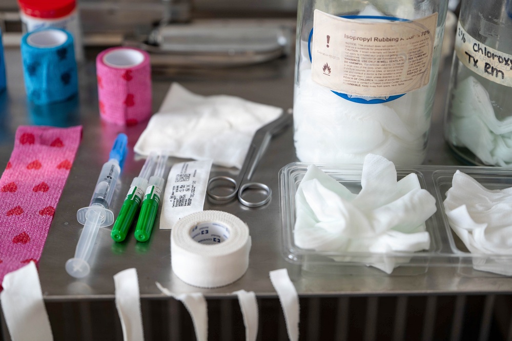 Early dental care keeps Spangdahlem Air Base military working dogs’ bite in the fight