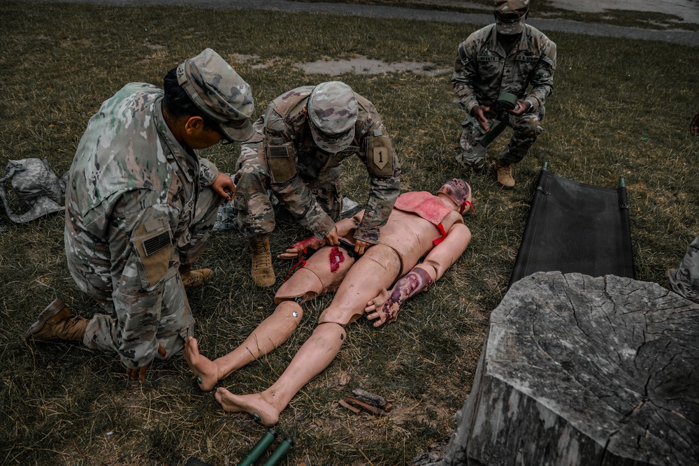 Task Force Danger Base Defense/MASCAL