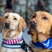 Welcome Home: Families reunite with returning Airmen at Travis AFB