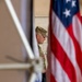 11th Battalion Conducts Change of Command at Los Alamitos
