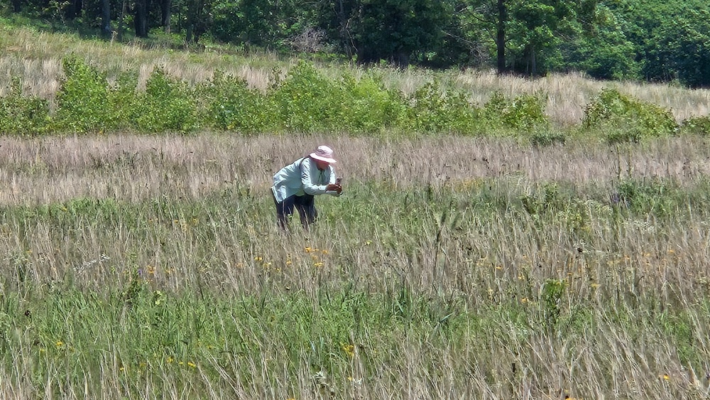 Fort McCoy hosts 2026 Butterfly Field Day highlighting endangered species conservation