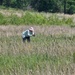 Fort McCoy hosts 2026 Butterfly Field Day highlighting endangered species conservation