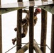 National Best Warrior 2026 competitors challenge themselves through obstacle course