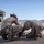 SLTE 4-26: 2nd Battalion, 2nd Marine Regiment Train with Attack Drones SLTE 4-26: 2nd Battalion, 2nd Marine Regiment Train with Attack Drones