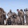 SLTE 4-26: 2nd Battalion, 2nd Marine Regiment Train with Attack Drones SLTE 4-26: 2nd Battalion, 2nd Marine Regiment Train with Attack Drones