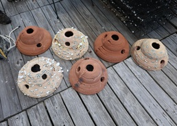 USACE Transforms Dredged Sediment into 3D-Printed Oyster Reefs to Bolster Coastal Resilience