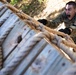 U.S. Air Force Academy BCT Class of 2030 Obstacle Course