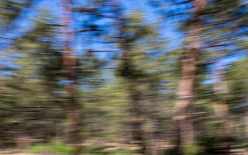 U.S. Air Force Academy BCT Class of 2030 Obstacle Course