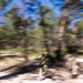 U.S. Air Force Academy BCT Class of 2030 Obstacle Course
