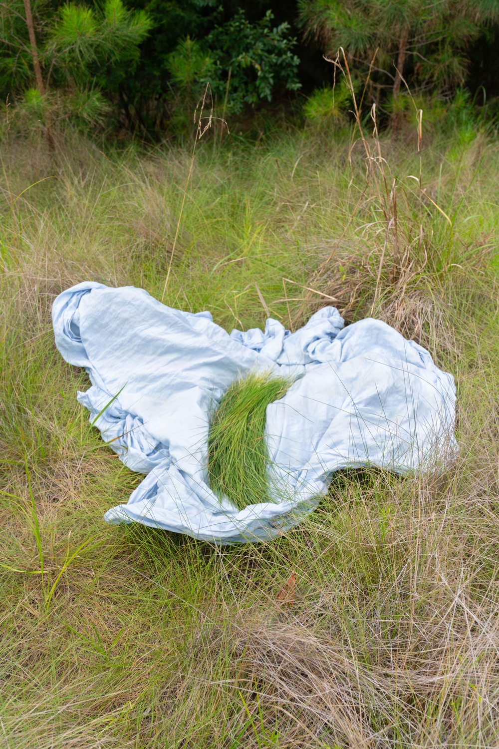 Pulling Up the Past: Preserving Gullah Heritage and Generational Connection with Sweetgrass in the Lowcountry