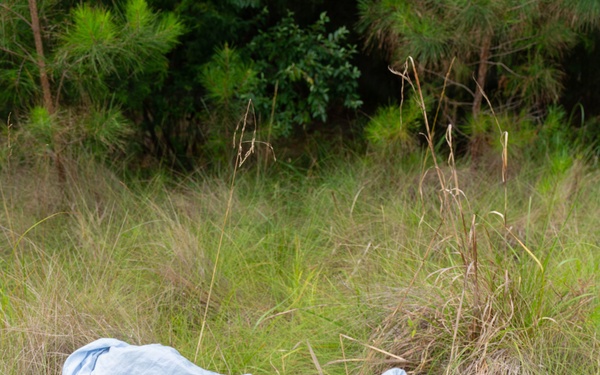Pulling Up the Past: Preserving Gullah Heritage and Generational Connection with Sweetgrass in the Lowcountry