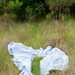Pulling Up the Past: Preserving Gullah Heritage and Generational Connection with Sweetgrass in the Lowcountry