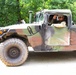 Illinois Army National Guard Helps North Riverside (IL) Celebrate 250 Years of Freedom