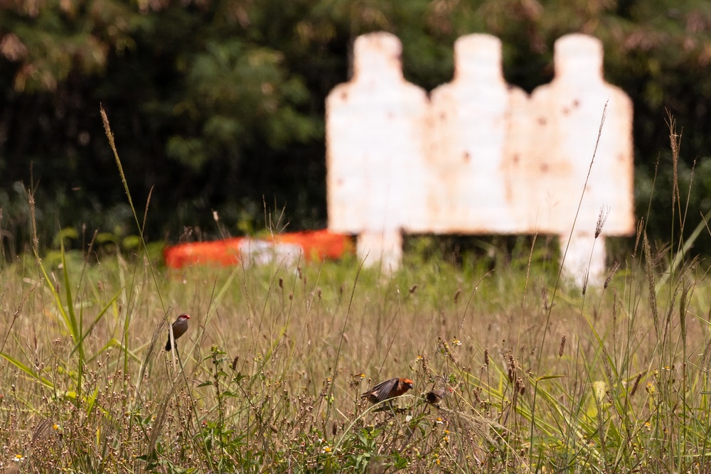 Photos of a sacred Hawaiian land