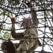 Utah Guardsman addresses the Board and runs through Air Assault Obstacle Course during National Best Warrior Competition 2026
