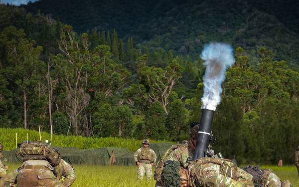 1st Battalion, 27th Infantry Regiment: Mortar live-fire during a base fire support coordination exercise