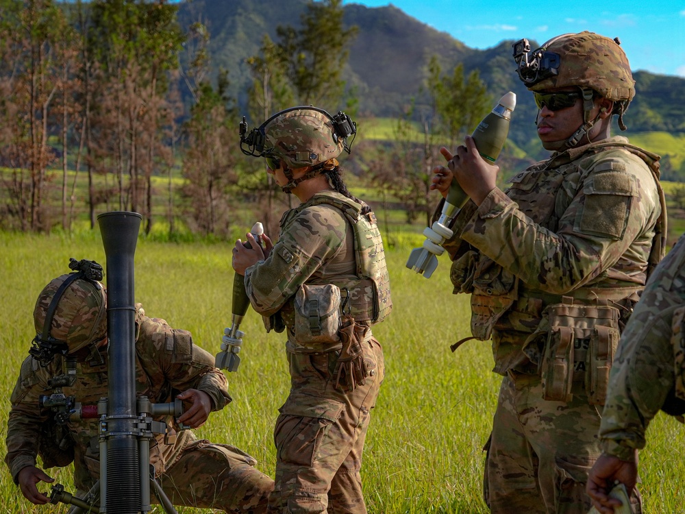 1st Battalion, 27th Infantry Regiment: Mortar live-fire during a base fire support coordination exercise