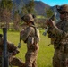 1st Battalion, 27th Infantry Regiment: Mortar live-fire during a base fire support coordination exercise