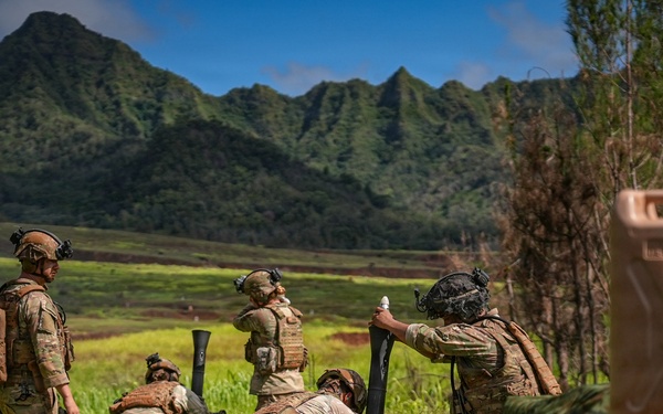 1st Battalion, 21st Infantry Regiment: Mortar live-fire during a base fire support coordination exercise