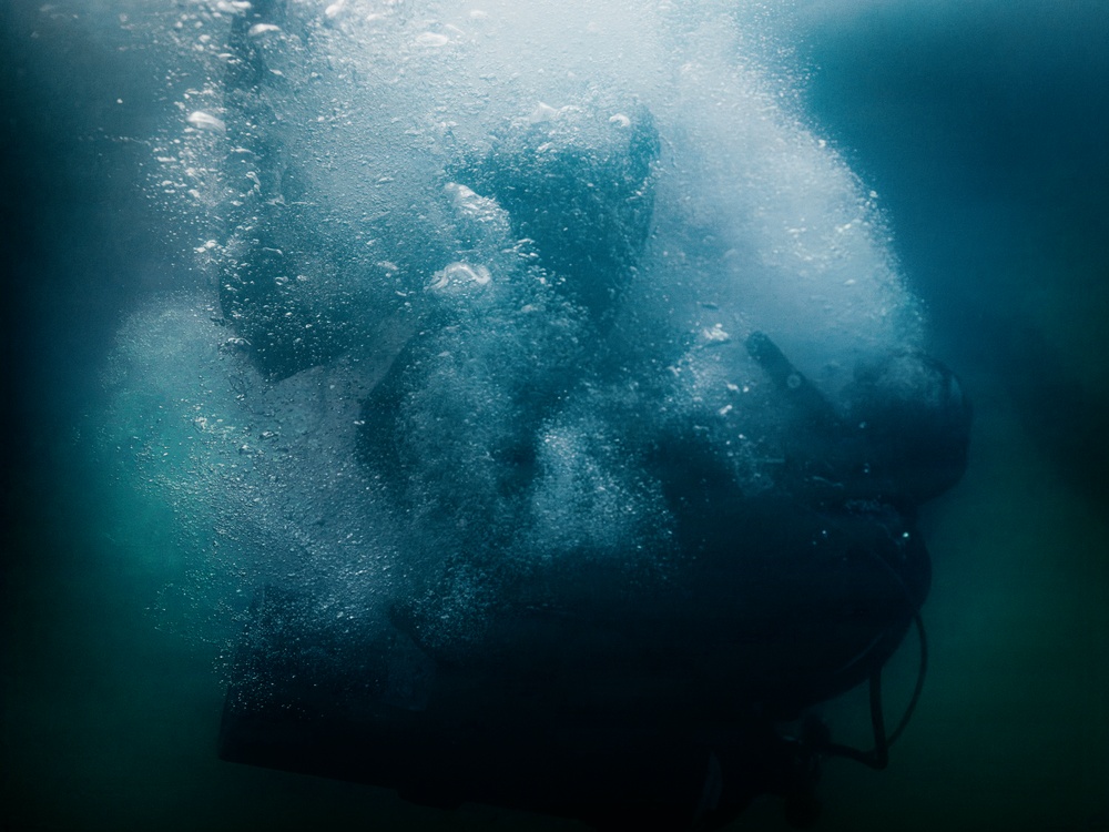 Multinational EOD technicians participate in joint ATFP training during RIMPAC 2026