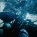 Multinational EOD technicians participate in joint ATFP training during RIMPAC 2026