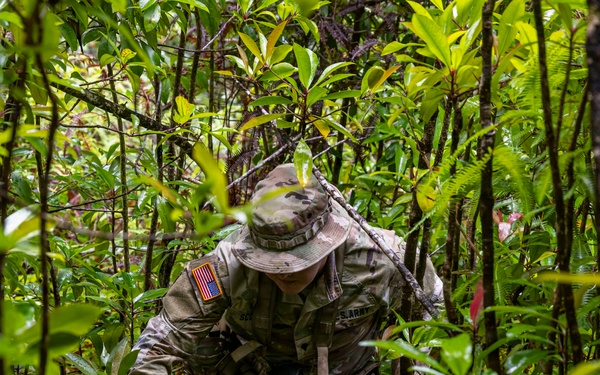 Military Working Dog Jungle Training