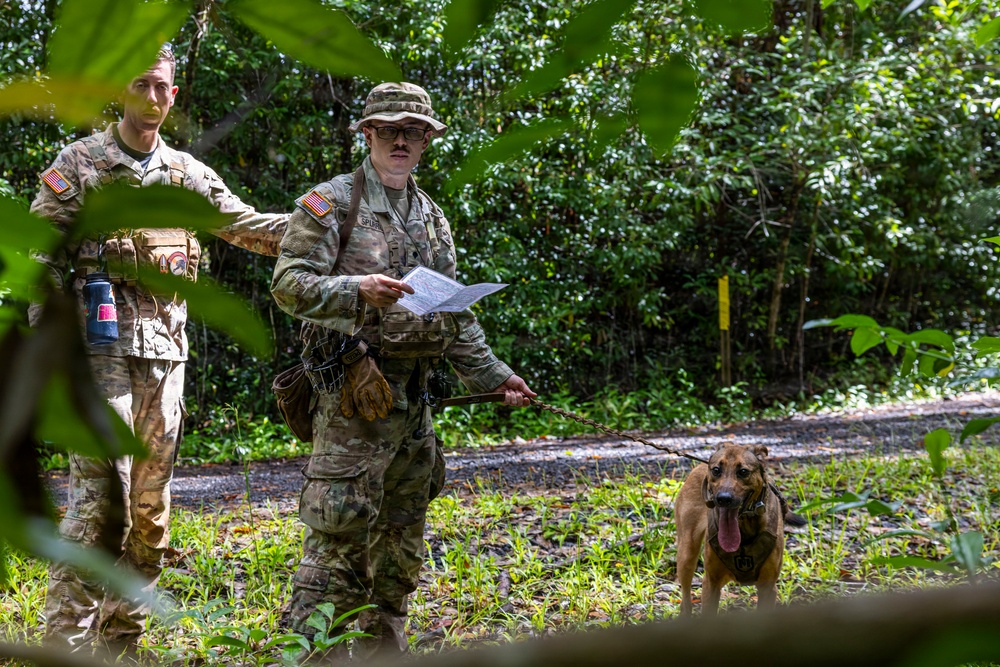 Military Working Dog Jungle Training