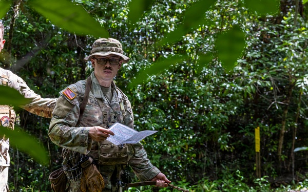 Military Working Dog Jungle Training