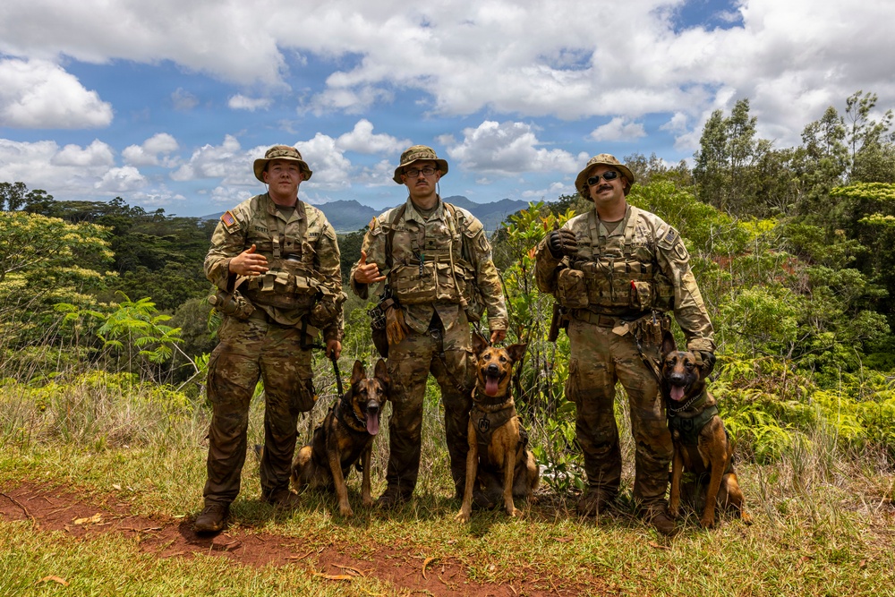 Military Working Dog Jungle Training