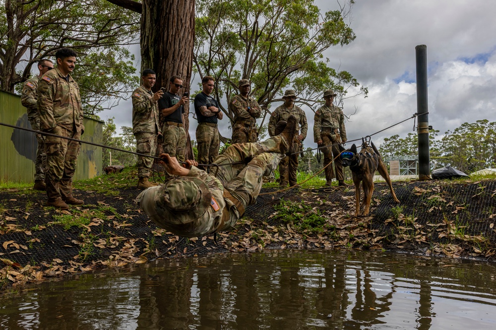 Military Working Dog Jungle Training