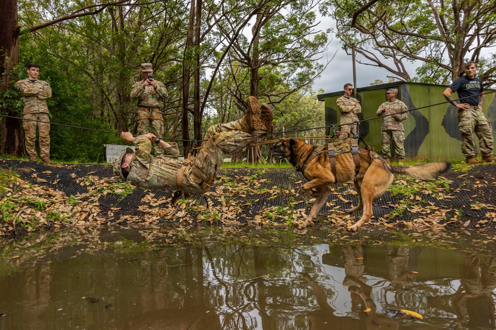 Military Working Dog Jungle Training