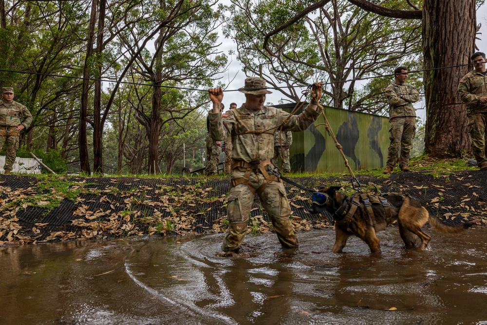 Military Working Dog Jungle Training