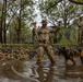 Military Working Dog Jungle Training