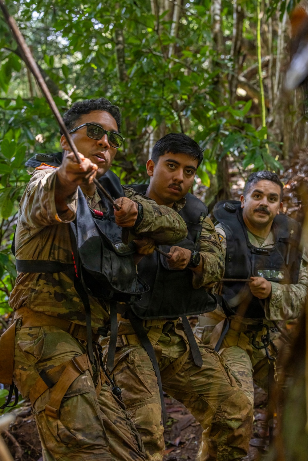 Military Working Dog Jungle Training