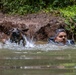 Military Working Dog Jungle Training