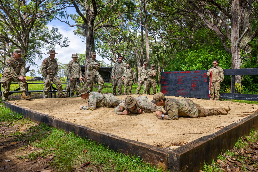 Military Working Dog Jungle Training