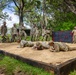 Military Working Dog Jungle Training
