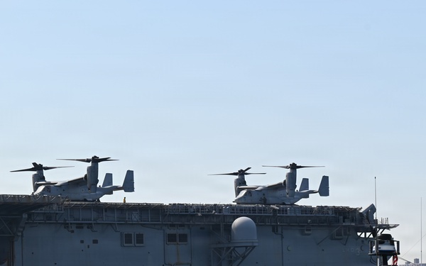 MSRON-4 Provides Waterside Security During Vice President's Visit to USS Kearsarge