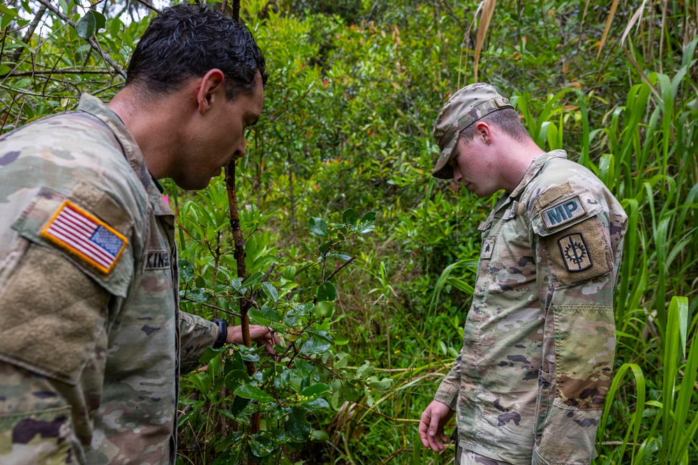 Military Working Dog Jungle Training
