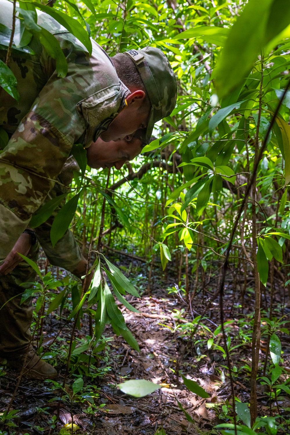 Military Working Dog Jungle Training