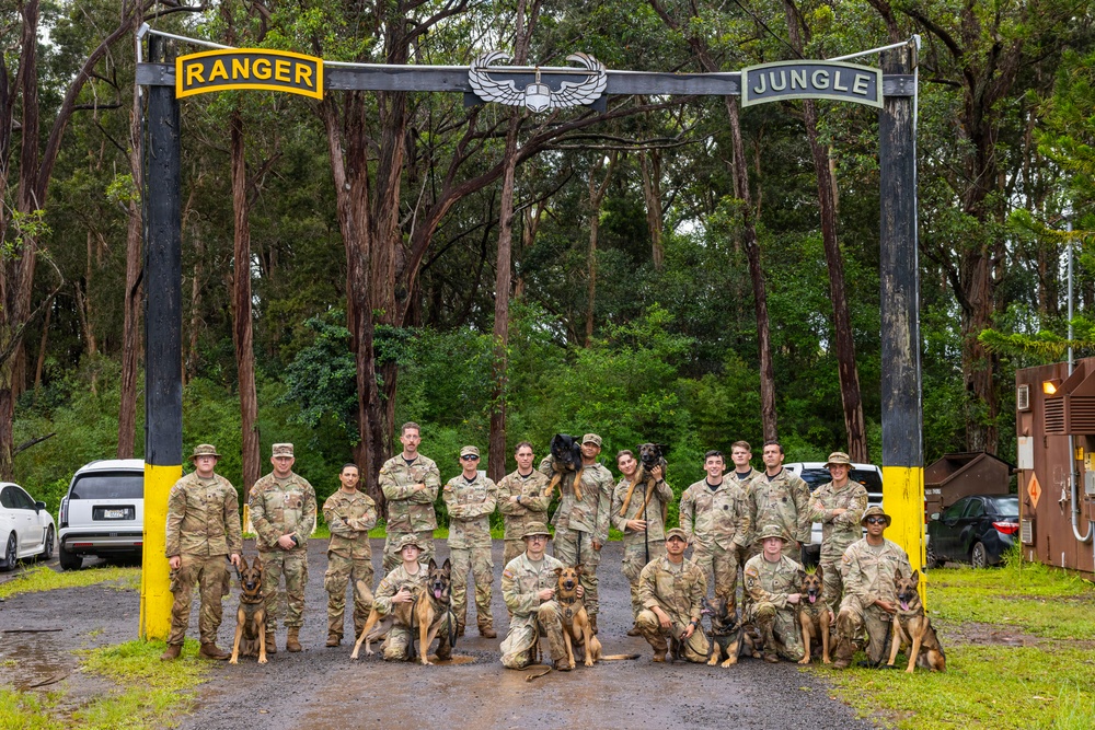 Military Working Dog Jungle Training