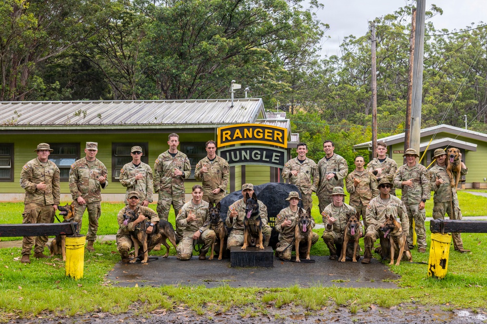 Military Working Dog Jungle Training