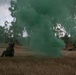 Exercise Southern Jackaroo 26