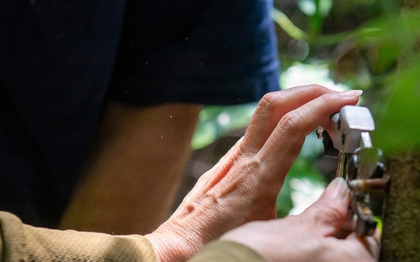 CFAY Environmental Stewardship Bridges Mission and Conservation