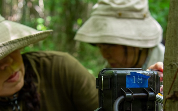 CFAY Environmental Stewardship Bridges Mission and Conservation