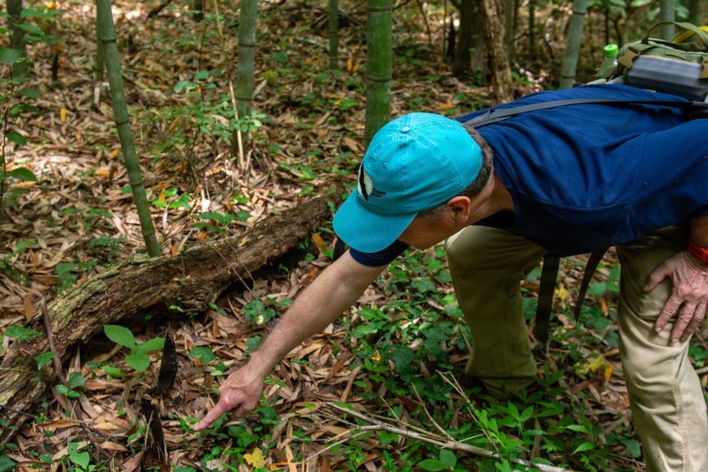 CFAY Environmental Stewardship Bridges Mission and Conservation