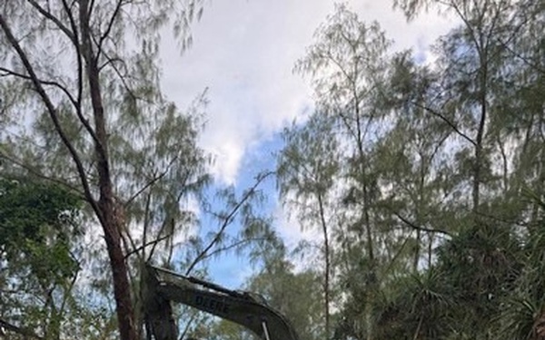 A tracked excavator, appearing to be a John Deere model, is actively engaged in land clearing or vegetation removal operations in a forested area. The machine is using a grapple or shear attachment to grip and remove trees. The foreground shows significant debris including felled branches, wood chips, and disturbed red-brown soil, indicating active clearing work.