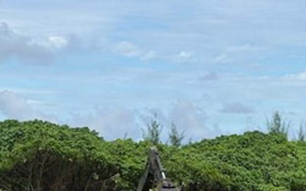 A military-style olive drab dump truck equipped with a crane/loader arm is engaged in land clearing operations at the edge of a dense tropical or subtropical tree line. The vehicle is actively loading or moving vegetation debris into its cargo bed. The foreground shows recently cleared bare earth, indicating active ground preparation work.